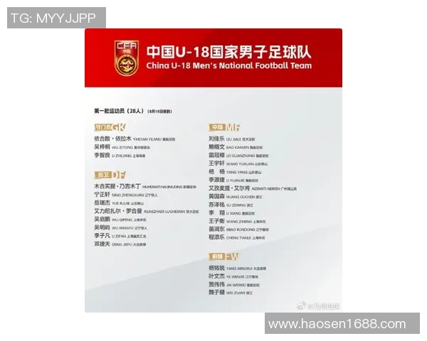 中国足球球星年龄分布排行榜揭示各代球员实力差异与未来潜力 中国足球球星年龄分布排行榜揭示各代球员实力差异与未来潜力